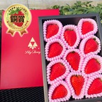 【3月31日お届け分まで】原宿ベリーの大粒いちご(450g)