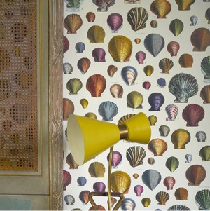 OUTLET PJD6000/01 John Derian　輸入壁紙　