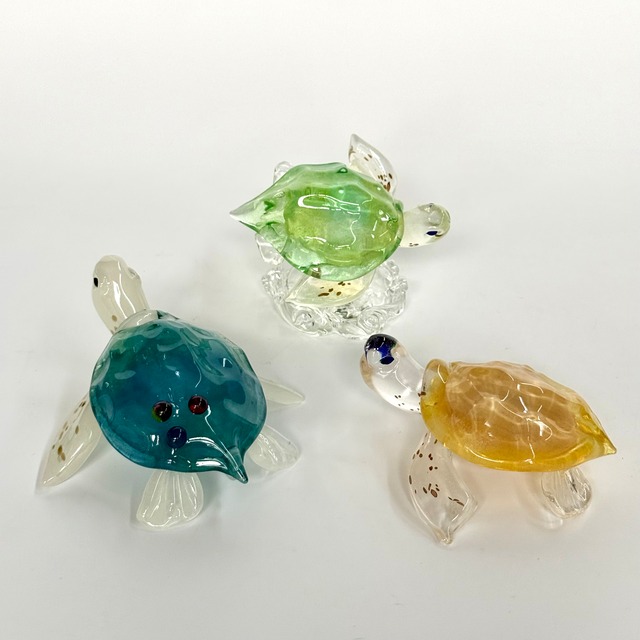 岩沢 達　ウミガメ ジュエリー付き