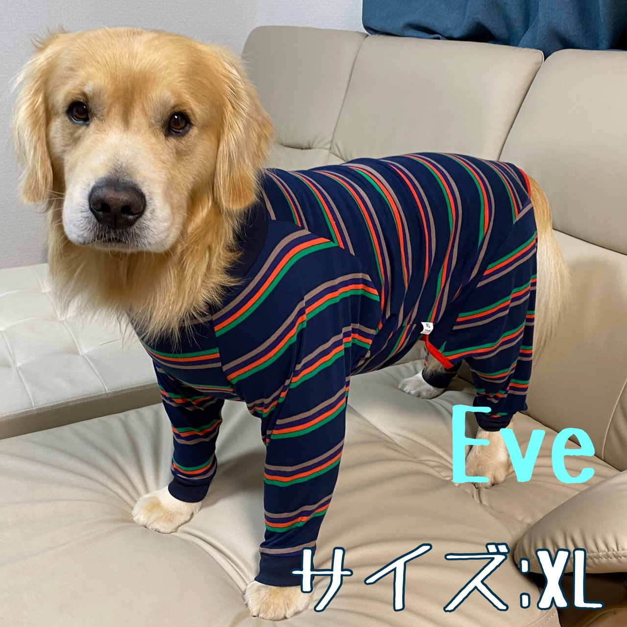 【犬の洋服】パジャマ　傷口保護服　大型犬　中型犬