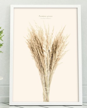 アートポスター / Pampas grass No.2  eb114