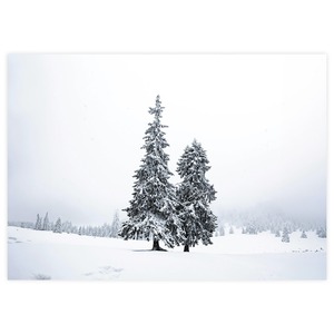 Snow tree.2 -横-