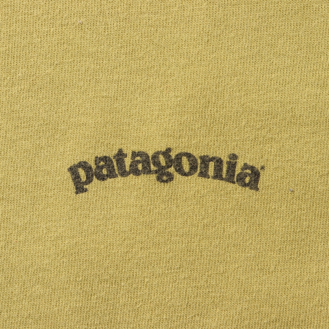 極美品 M アボカドグリーン Patagonia ベネフィシャルTシャツ パタゴニア 山 Beneficial T's
