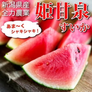 新潟県産 原田農園 小玉スイカ 姫甘泉 1.2kg 前後 4玉入り 新潟産 数量限定 送料無料 お中元 御中元 ギフト プレゼント スイカ すいか 西瓜 甘い あまい 糖度13度以上 暑さ対策 食べ物 果物 贈り物 贈答 お取り寄せ 産地直送 新潟県