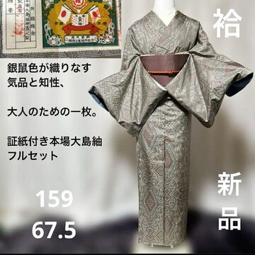 新品 単衣 BANKAN 着物 仕付け糸付 トール・ワイドサイズ お召6610 新品 単衣 BANKAN 着物 仕付け糸付 トール・ワイドサイズ お召6610 色