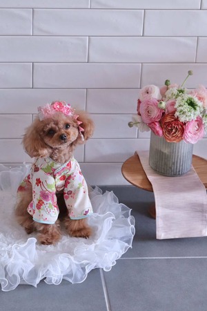 小袖（ご予約受注分）