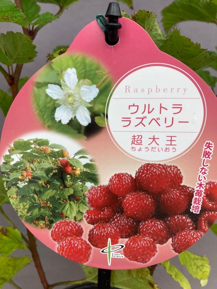 バラ売り可　実質一冊500円　東京薬科大学　生命科学部　2017,14,11年 生命科学部のPBL（2025年度）｜1年生が企業や行政の課題解決に挑戦