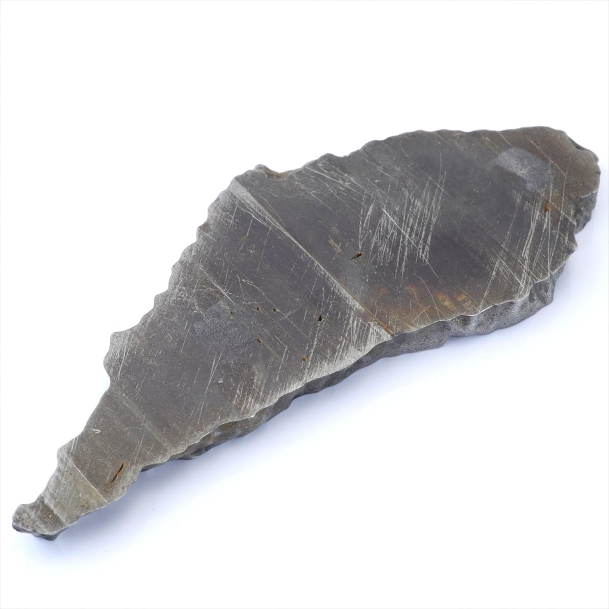 チンガー 隕石 79.9g チンガ アタキサイト 鉄隕石 標本 Chinga M2601