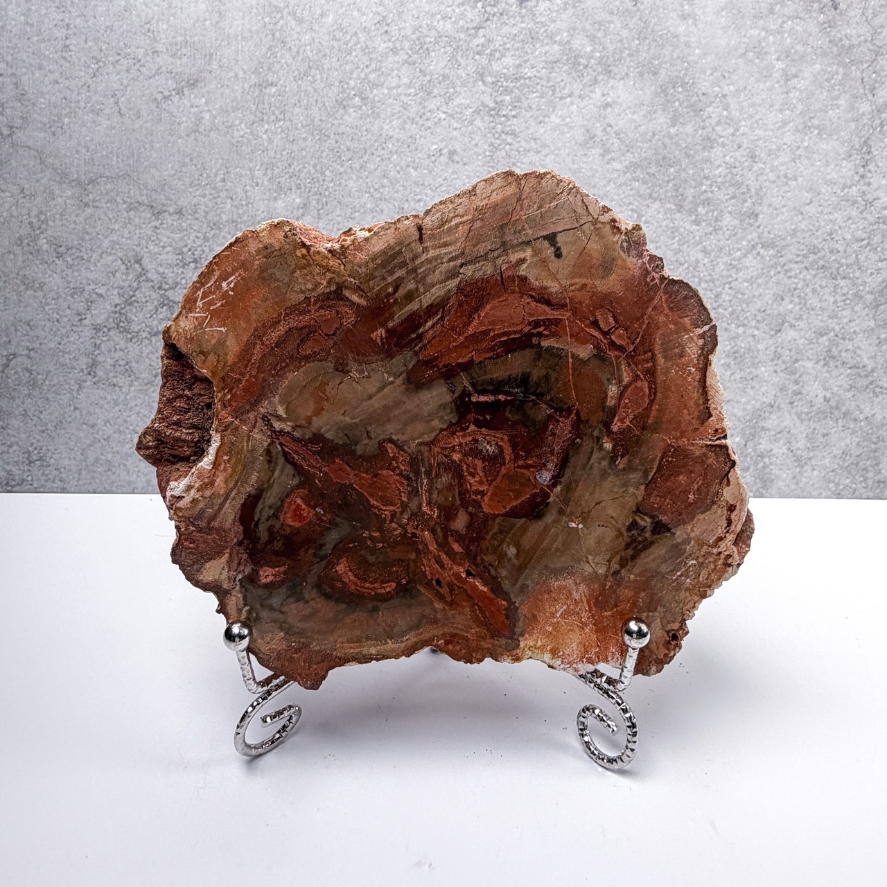 ペトリ スラブ ＊ Petrified Wood ＊ 天然石