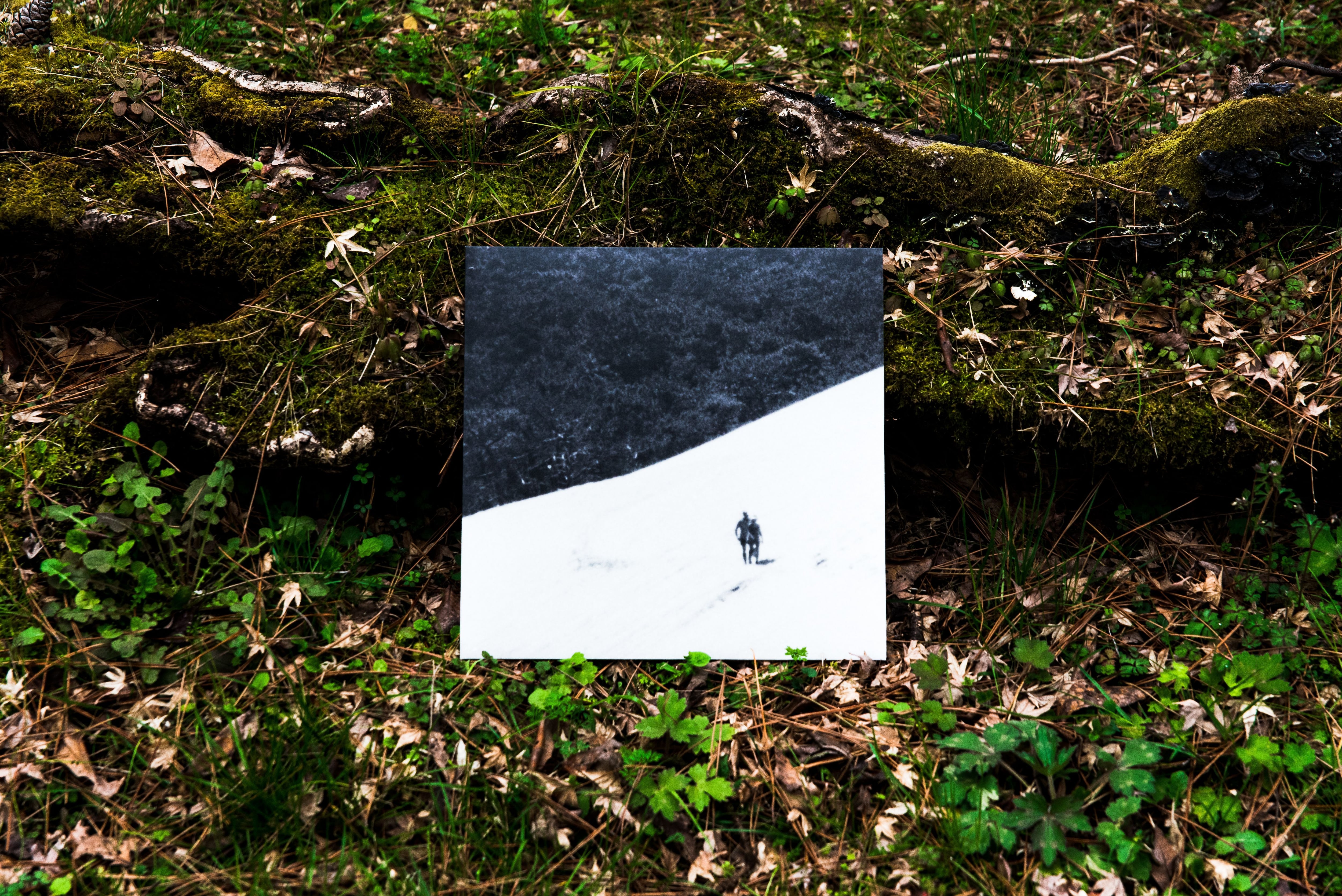 LUCA & There is a fox / Shapes（12インチレコード） | lucadelphi