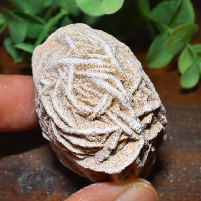 デザートローズ(ジプサムローズ) メキシコ産 DSR03