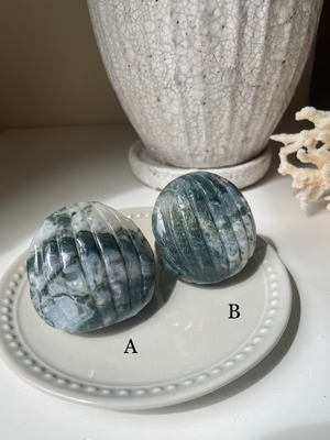 Moss Agate Shell / モスアゲート　貝