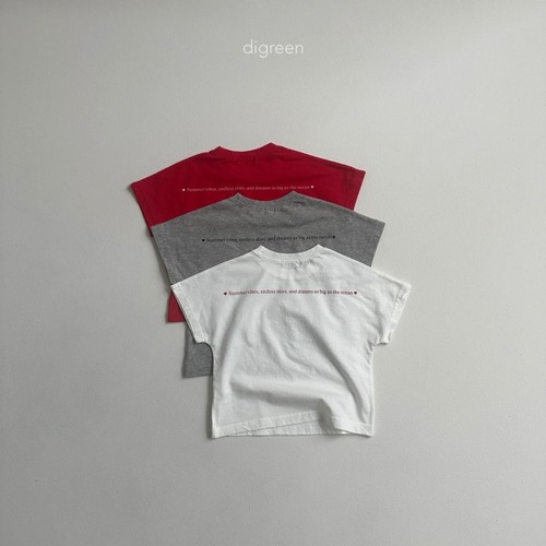 digreen25su_Summer Batwing Tee
