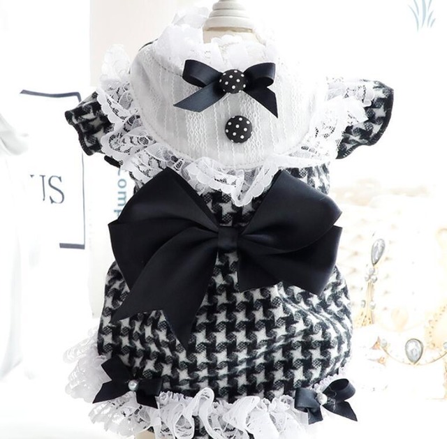 《予約》№3101271 グラデーションスターワンピース