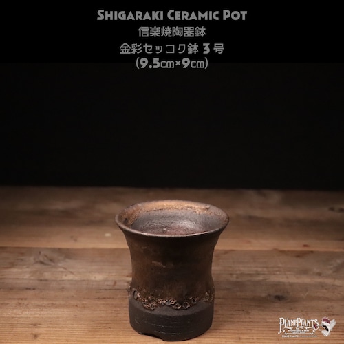 【送料別】金彩セッコク鉢 3号〔信楽焼〕