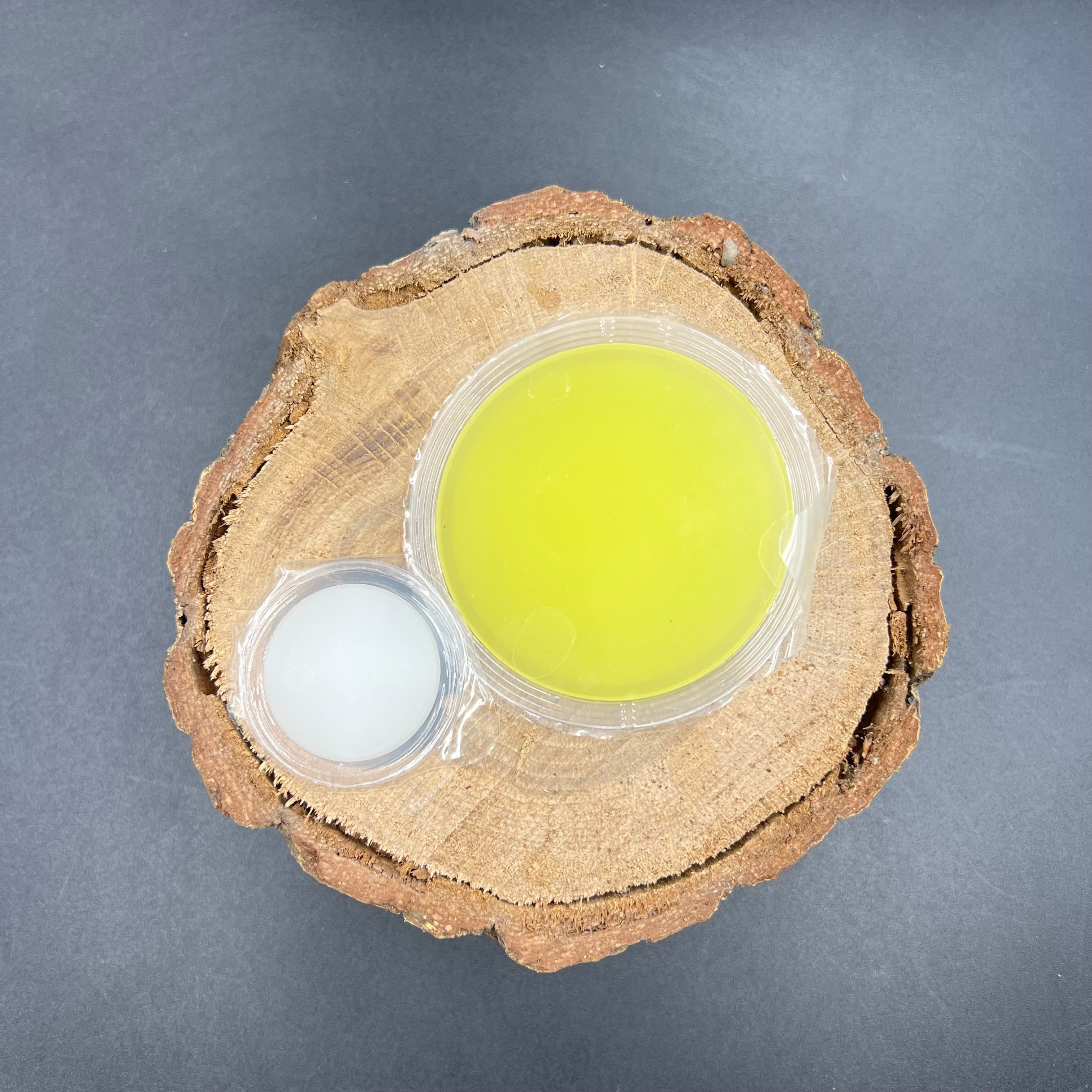 数量限定】特大！Wエサ皿 65g 16g 昆虫ゼリー用/[Limited quantity