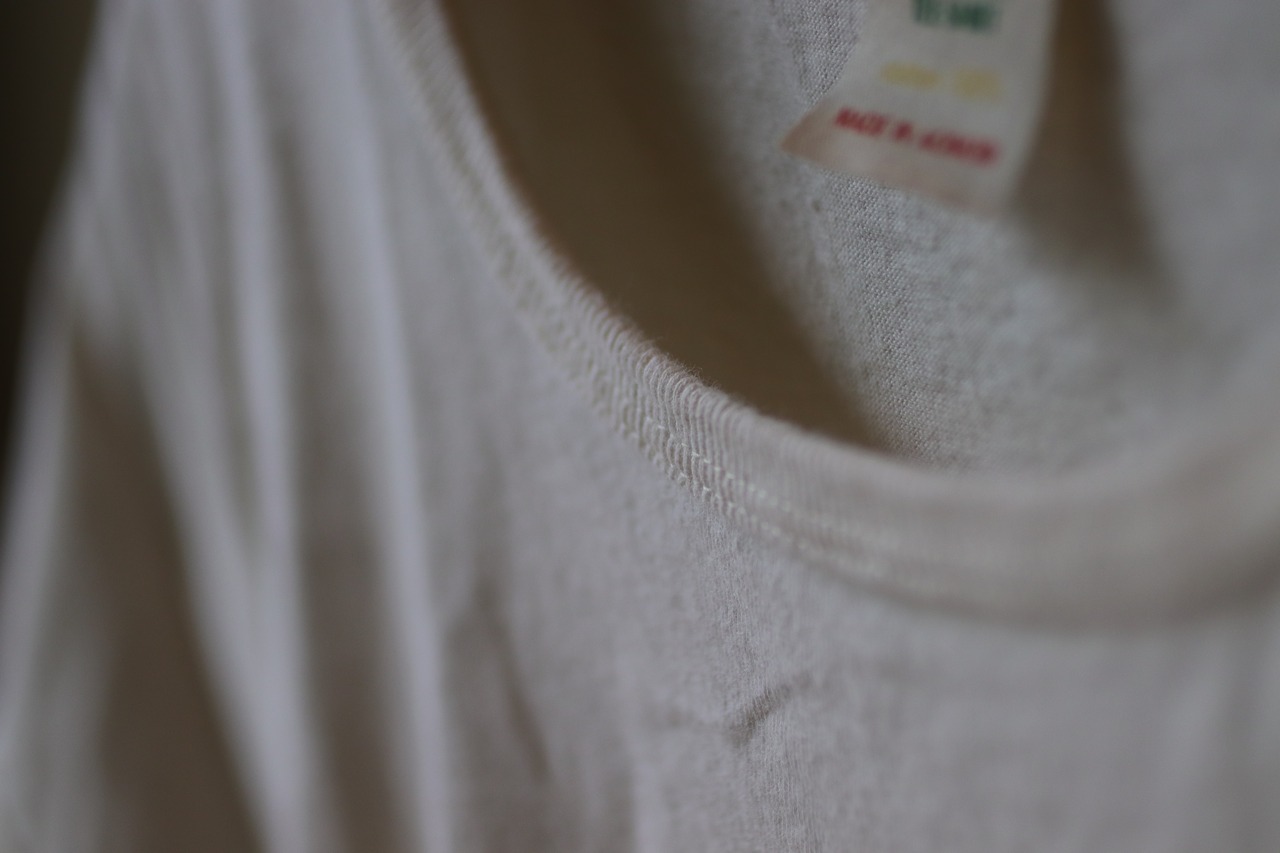 classic style TEE-SHIRT "SLANGVANILLA"