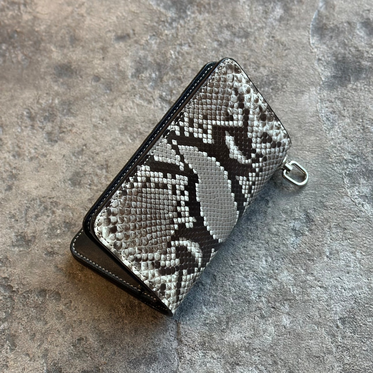 ロングビルフォールド エレノア パイソン