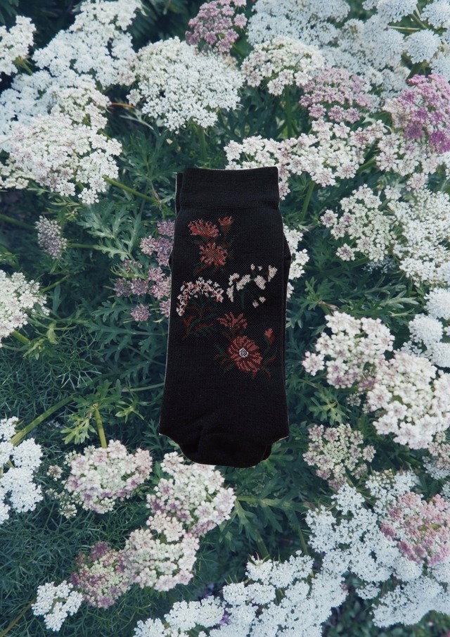 高山植物図鑑　col.navy