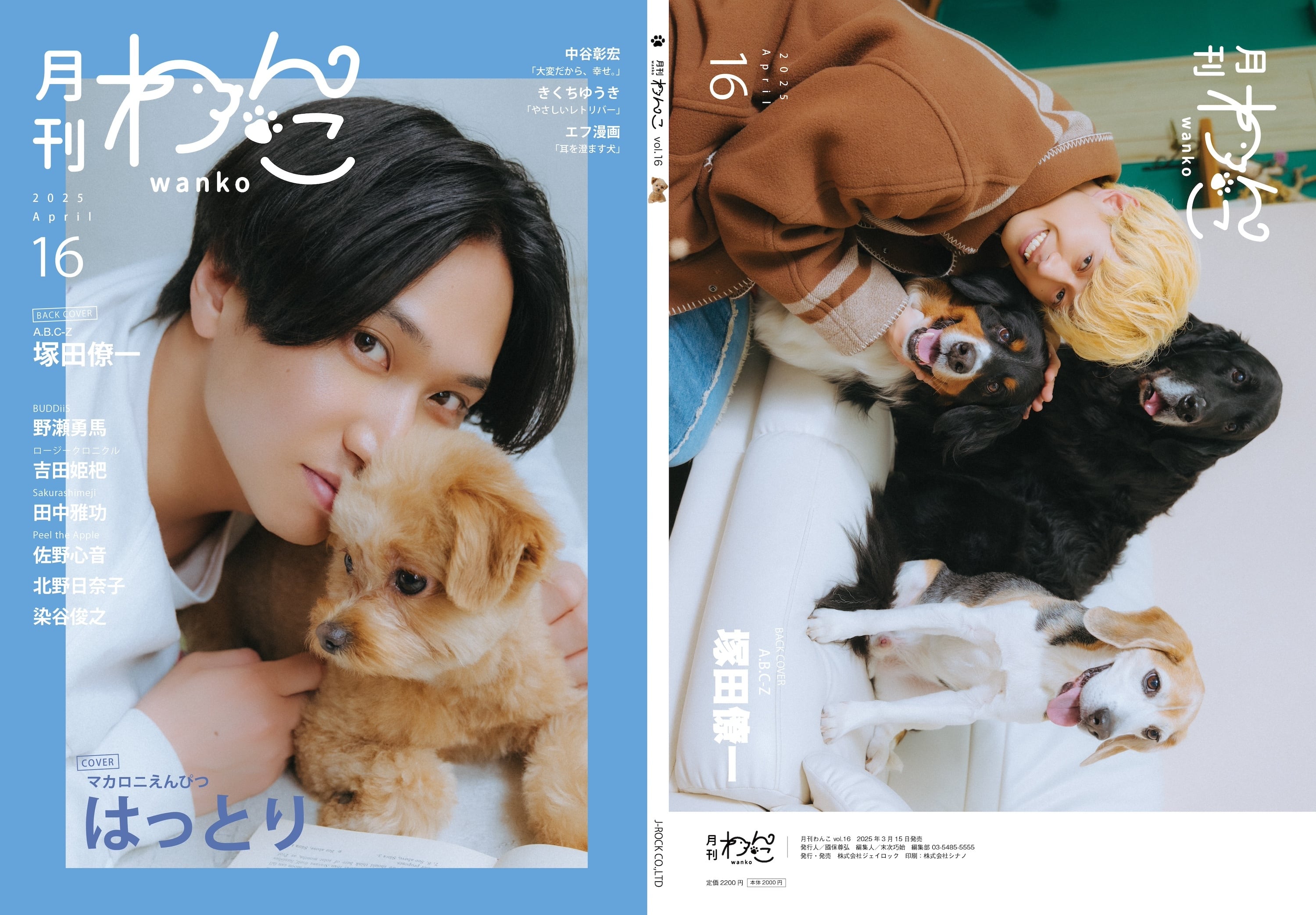 わんこページ 月刊わんこ vol.7 特別号「にゃ！？にゃんだって！？にゃんこ特集