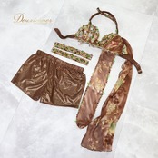 ベリーダンス オリエンタル 衣装 上下セット ブラウン系 トップス スカート インナーパンツ 茶 緑 ラインストーン ビーズ 豪華 装飾 かわいい 華やか ダンス衣装 イベント ステージ 葉っぱ柄 グリーン系