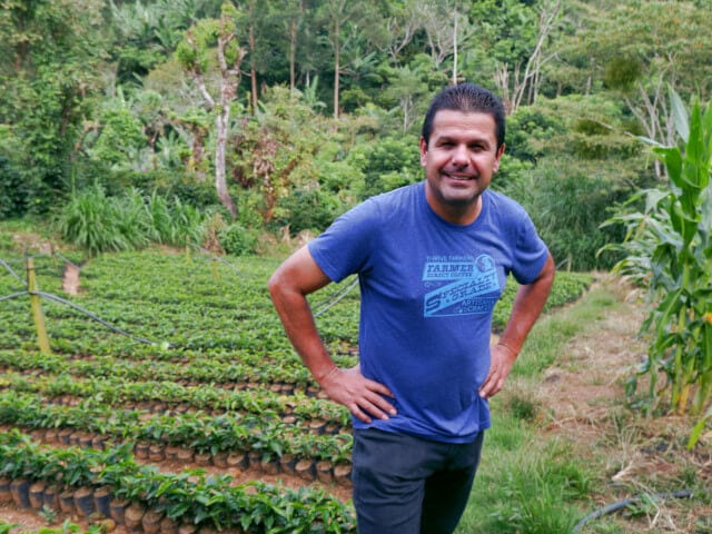 コスタリカ エチオピア47 イエローハニー 中深煎り 200g