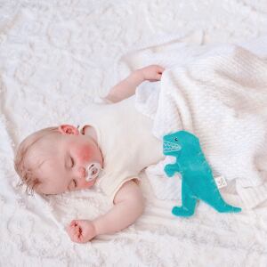 T-Rex with Crinckle_93205