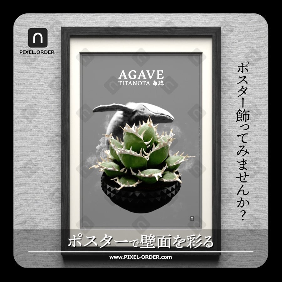 アガベ ポスター【 TITANOTA -白鯨- 】GRAY 植物アート 観葉植物
