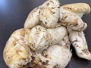 極上の逸品　北米産松茸　500g