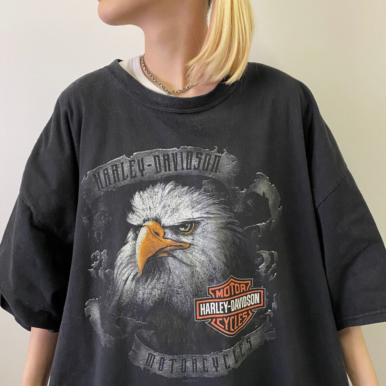 ビックサイズ ハーレーダビッドソン Harley-Davidson Hanes ヘインズ 両面プリント モーターサイクル バイクTシャツ USA製 メンズXXXL /eaa355113