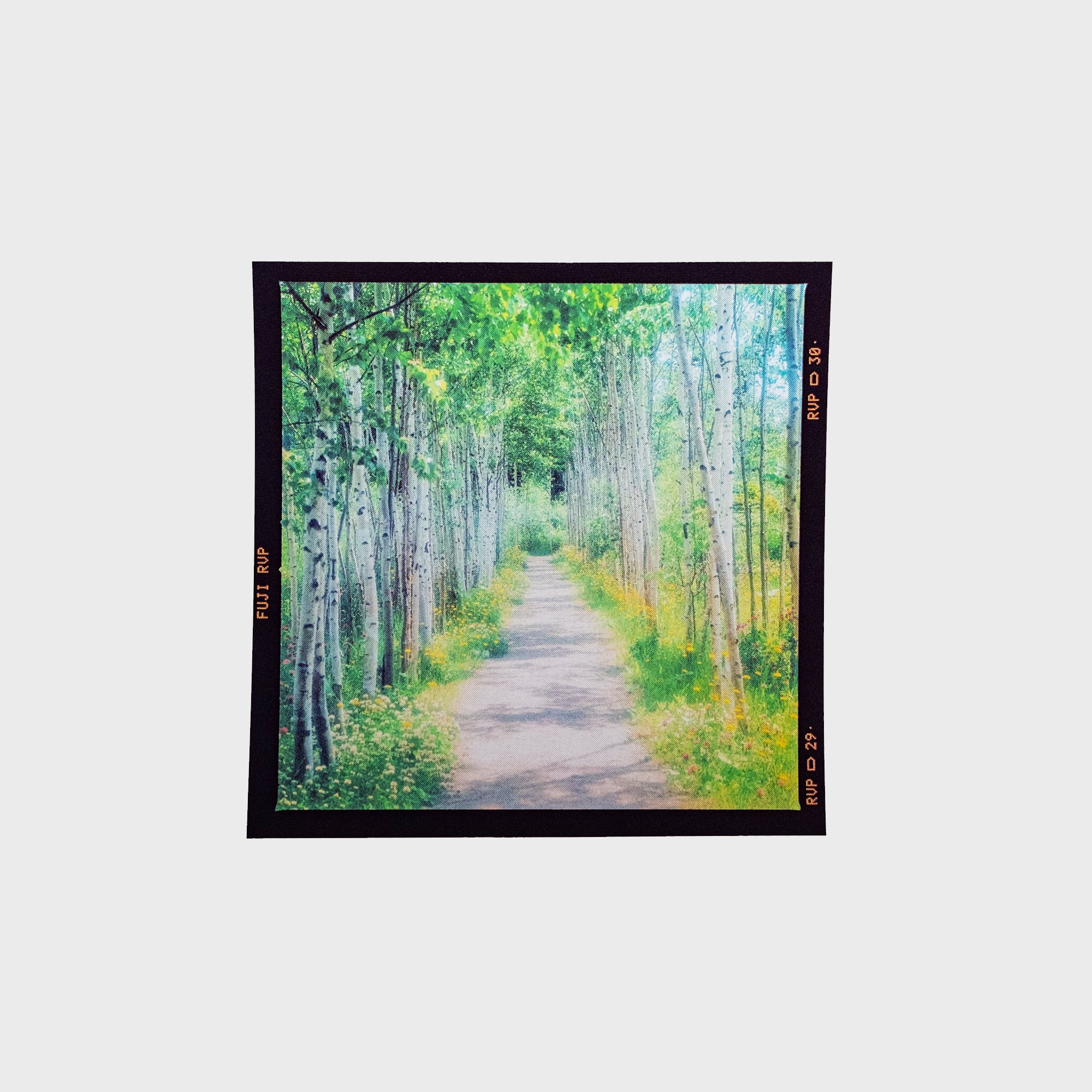 6×6フィルムステッカーB〈6枚セット〉 | 拓真館 TAKUSHINKAN