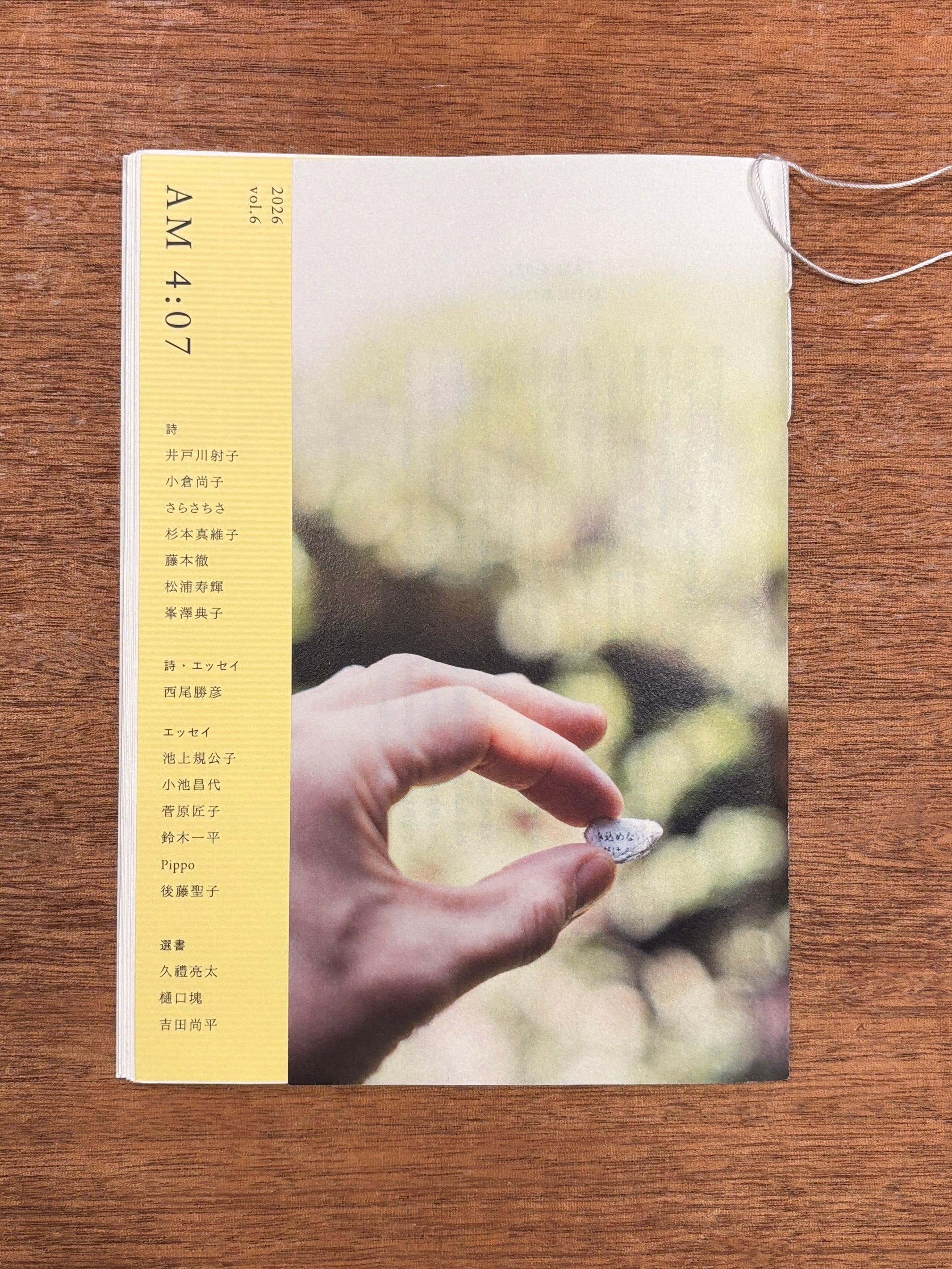 【希少】星よりのことづて 山崎圭 ハードカバー 文芸 | 本屋B&B