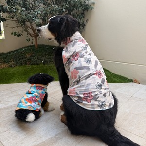 クールDOGウエア XXL　