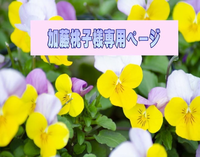 加藤桃子様専用ページ　【押し花セット66点】