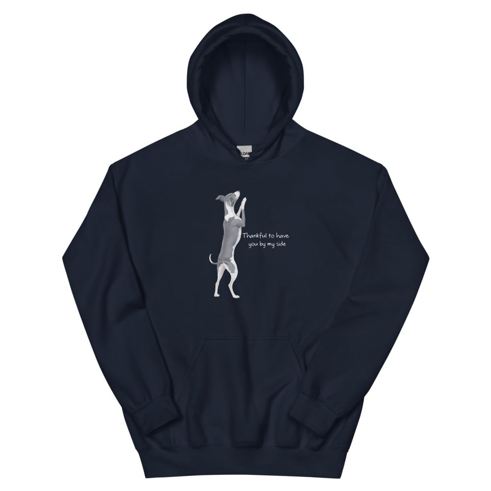 Aufbruch Hoodie #001 The vine | Pay ID