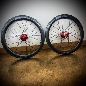 colorplus carbon wheelセット【Birdy用20in F20/R24】