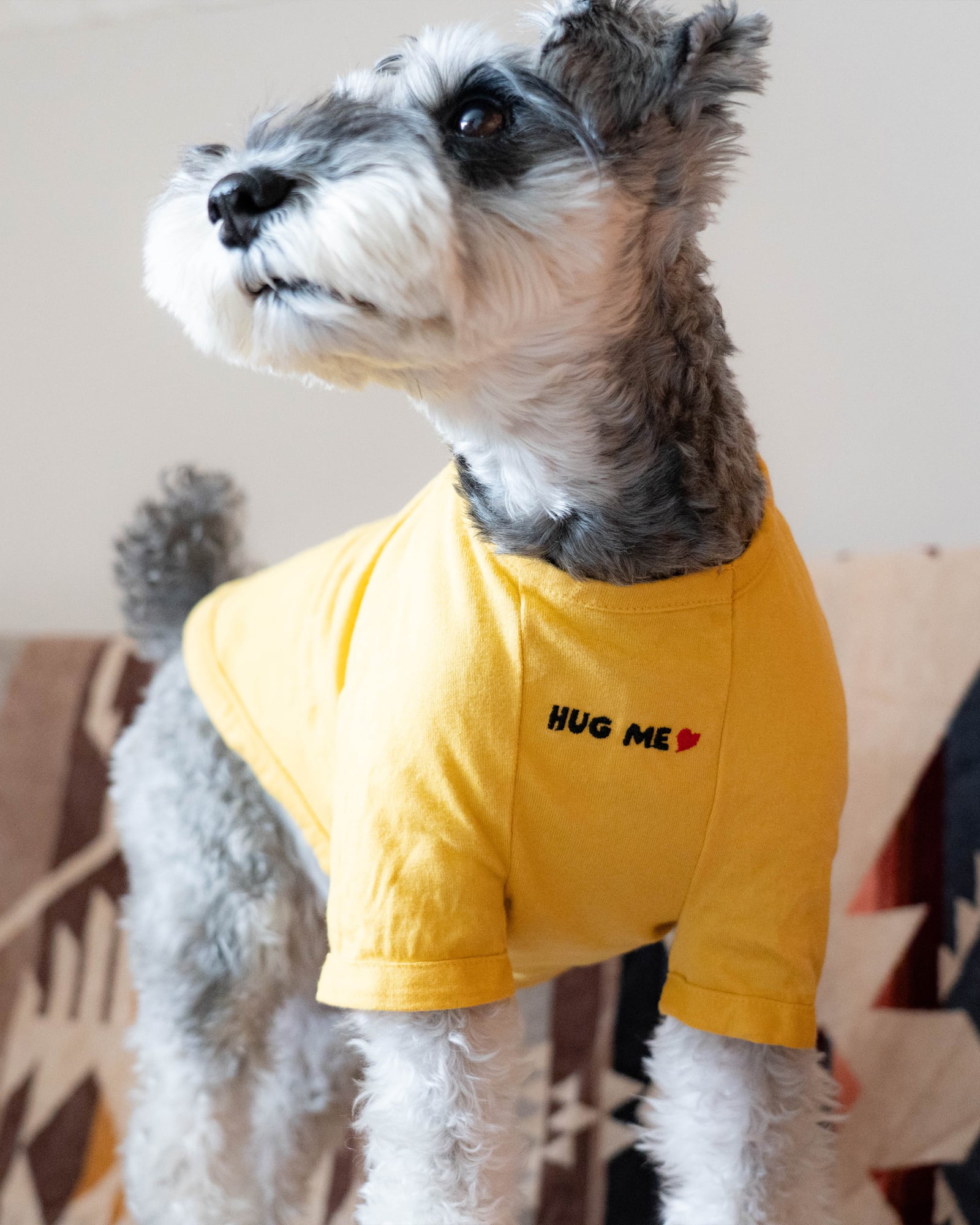 犬服 Tシャツ 「Mr.BACCA」 typeB ｜inunobacca | Inunobacca