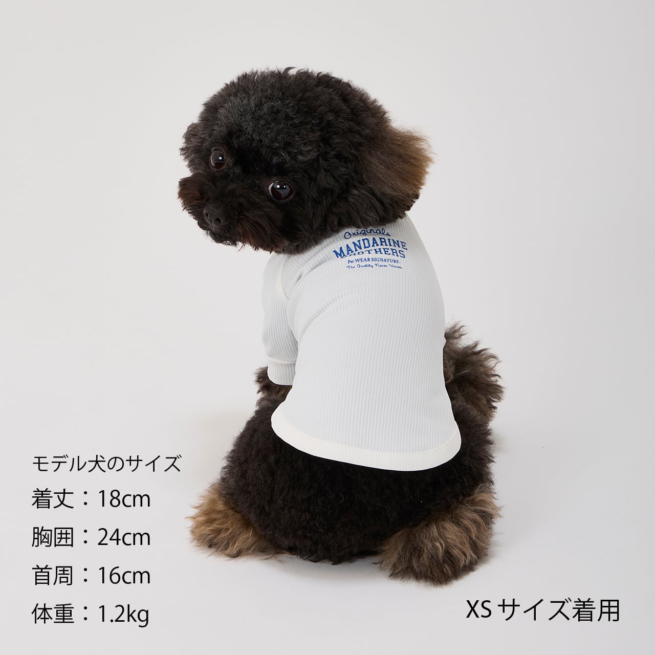 SKIN TIGHT COOL T-SHIRT(XS,S) スキンタイトクールTシャツ SKIN TIGHT COOL T-SHIRT(XS,S) スキンタイトクールTシャツ