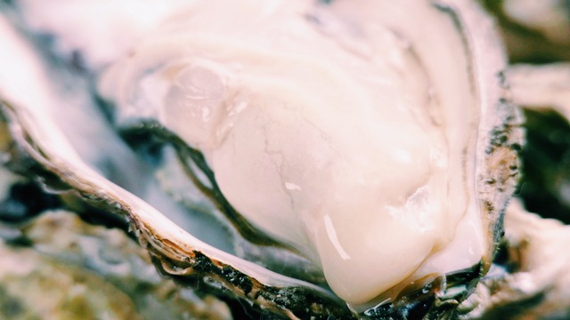 穴水産　牡蠣のオイル漬け／レギュラーサイズ