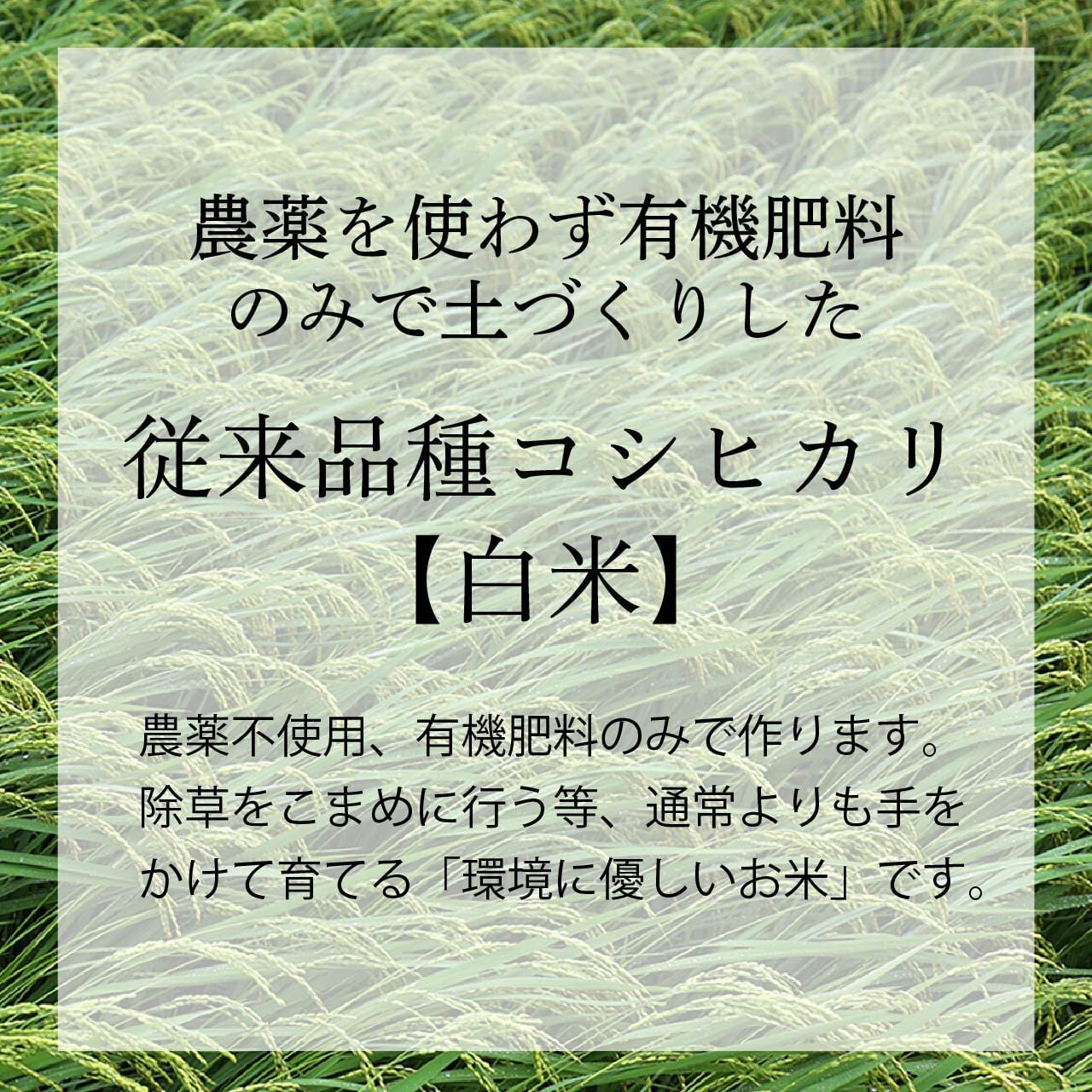 Sさま専用 取り置き分【白米 10kg】農薬を使わず有機肥料のみで土づくりをしたコシヒカリ 25年産