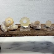 ポンデリングフローライト母岩付き*ブドウ状蛍石原石*251006*天然石*鉱物標本*インテリアストーン