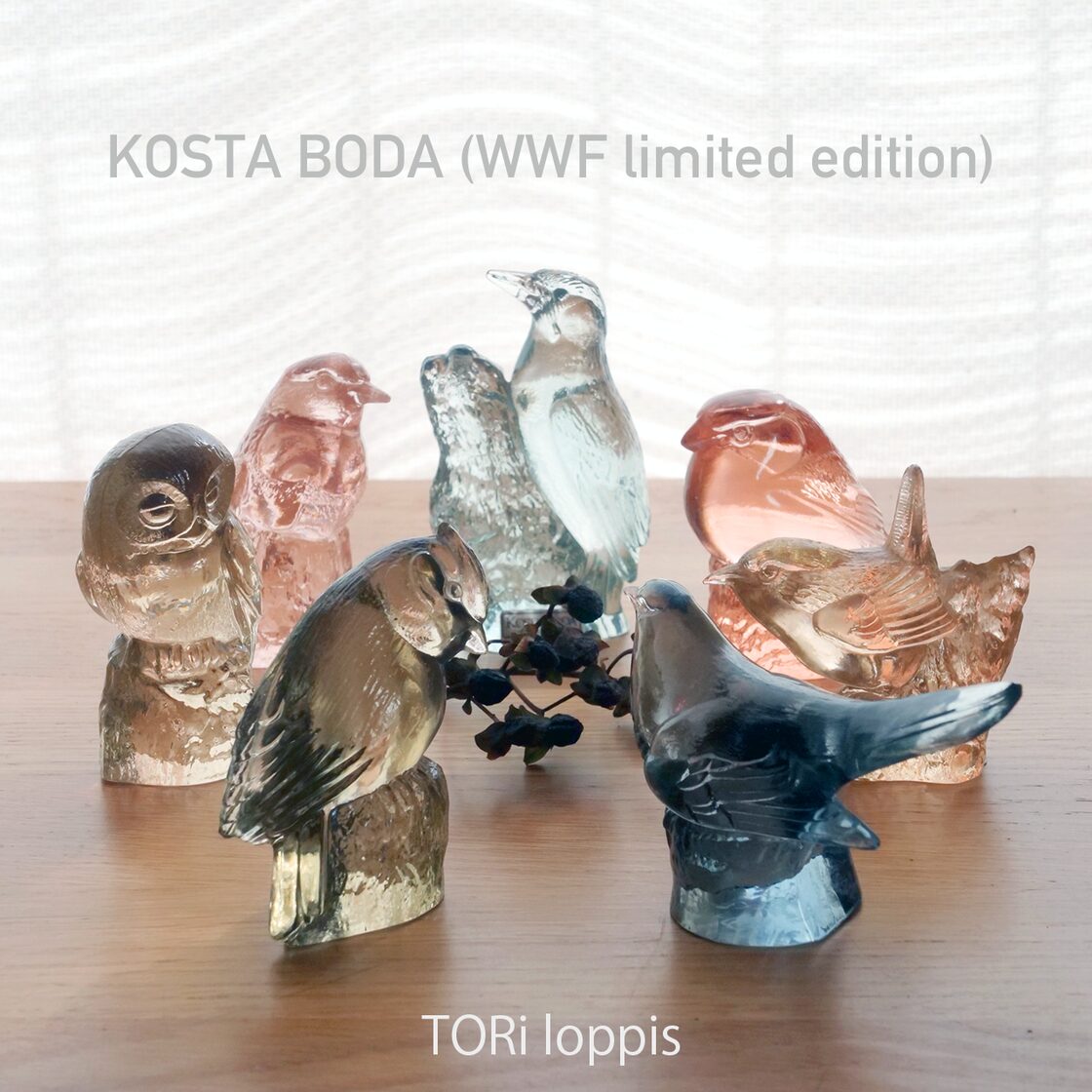 コスタボダ KOSTA BODA 鳥のオブジェA (WWF limited edition) | Pay ID