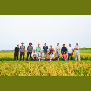 【自然栽培米】白米　ササシグレ　５ｋｇ