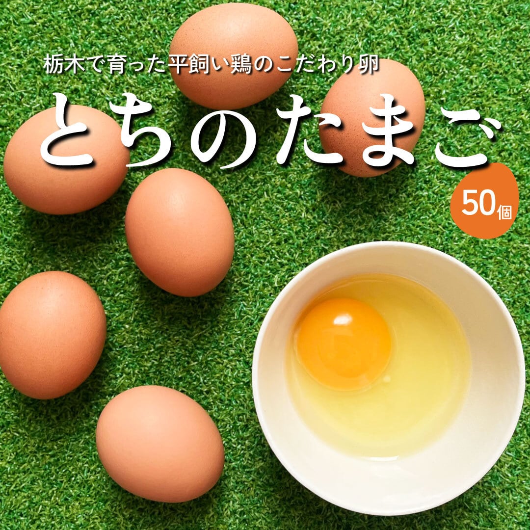 栃木の平飼いたまご「とちのたまご」50個入 | フレンズファーム｜産直