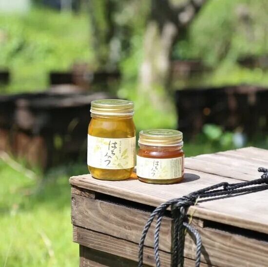 国内産 純粋百花蜜 250g | 有限会社マサヤ