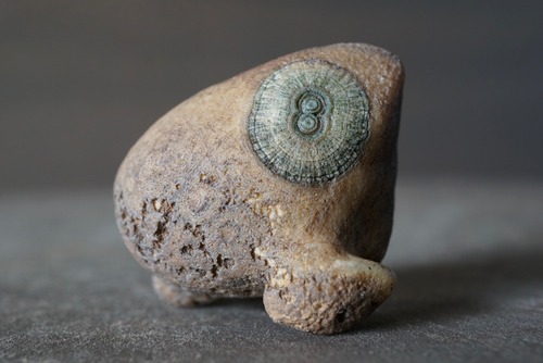 ゴビアゲート Gobi Agate 1130