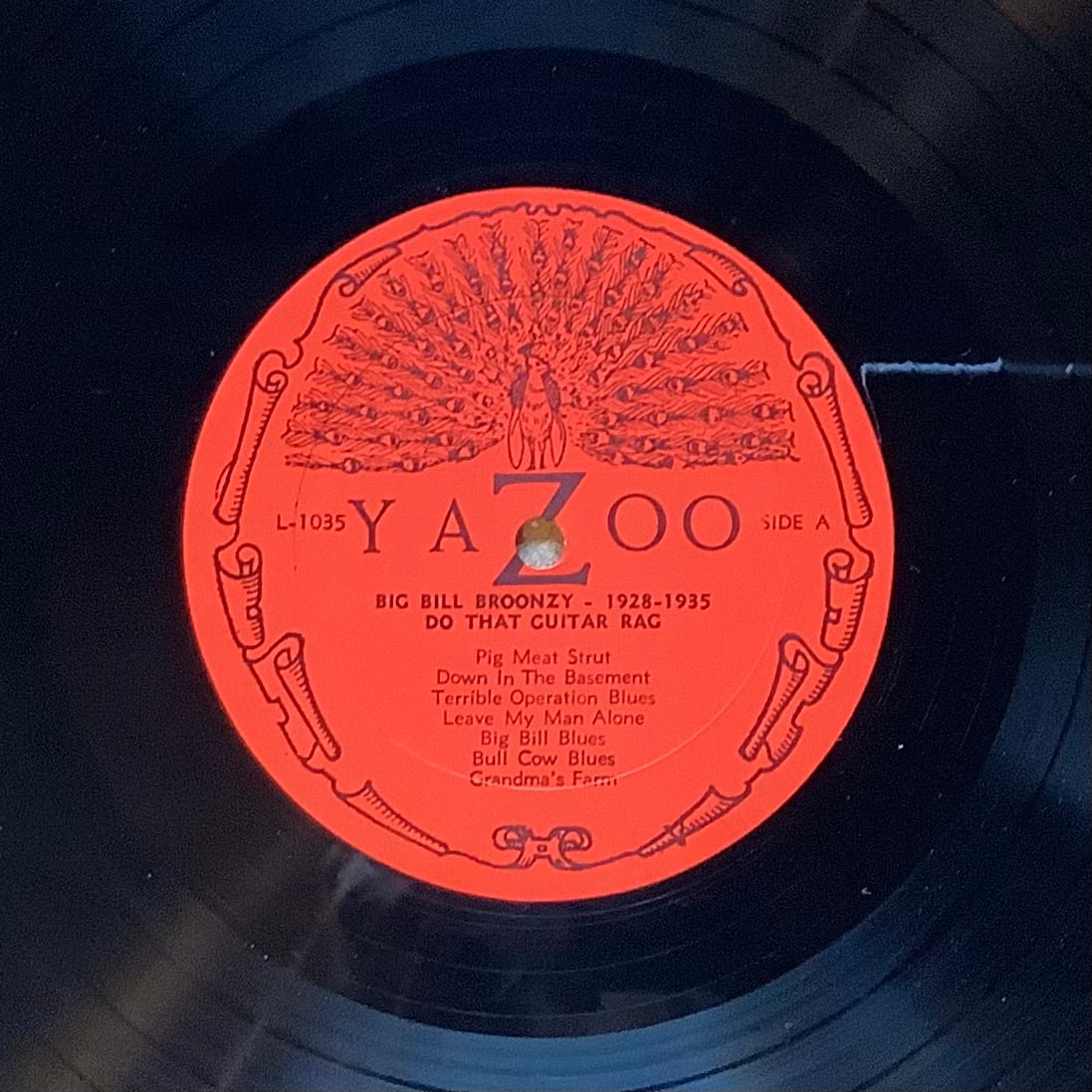 BIG BILL BROONZY / DO THAT GUITAR RAGS 1928-1935 | Plastic Soul