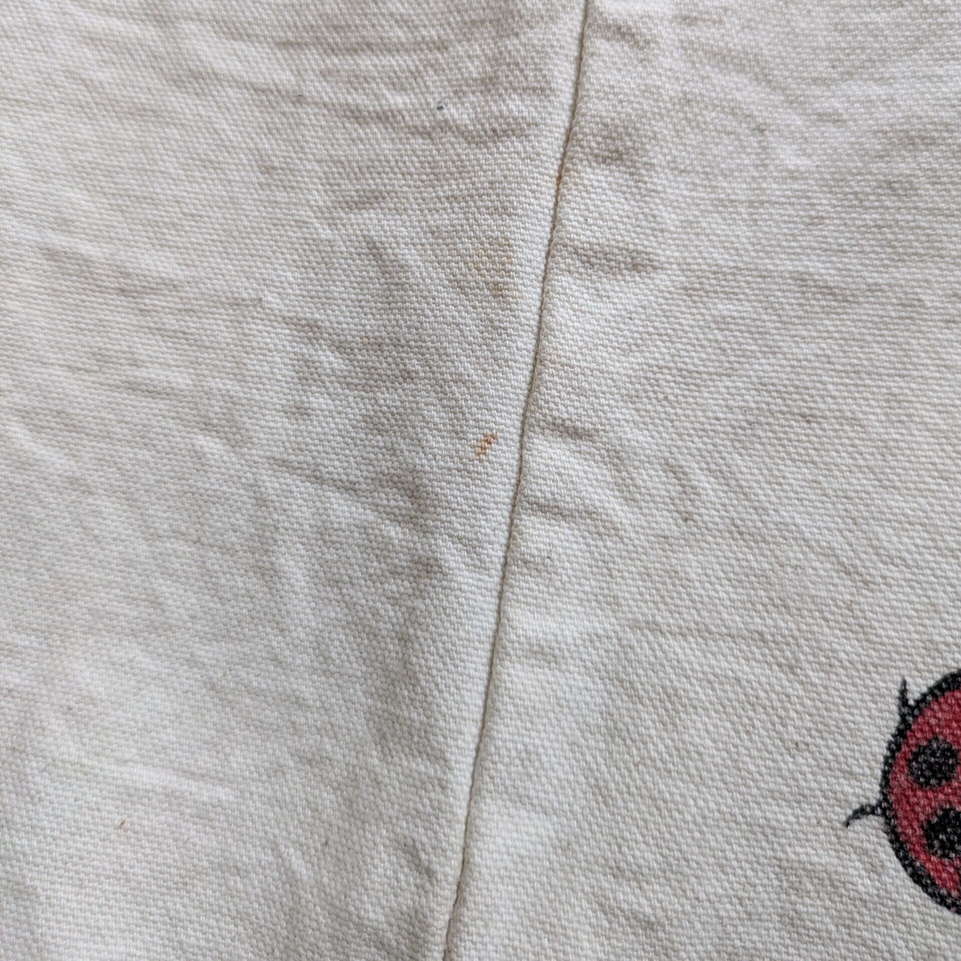 イギリス TESCO エコバッグ コットン てんとう虫 used 古着 | 古着屋