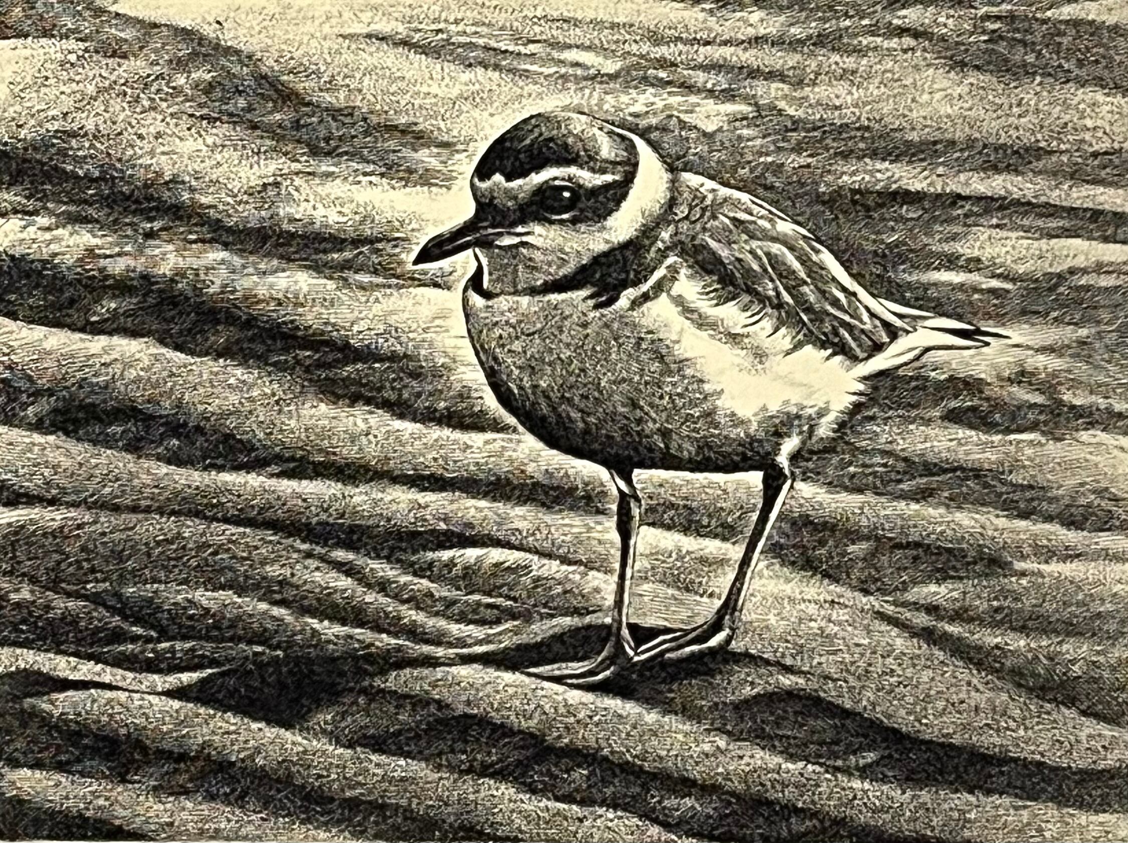 緒方一成 Issei OGATA ミクストメディア 版画 緒方一成 Issei OGATA ミクストメディア 版画