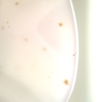 Cassiopeia - アゲートヒーリングチャイム / Agate Healing Chime 1444